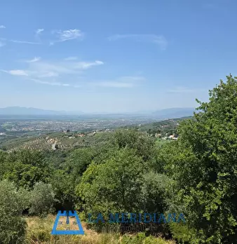 Foto annuncio 26