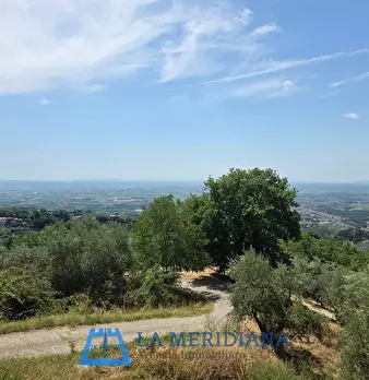 Foto annuncio 27