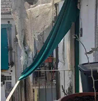 Foto annuncio 8