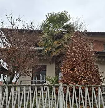 Foto annuncio 3