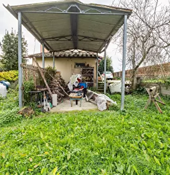 Foto annuncio 48