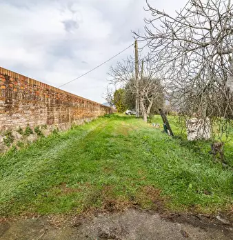 Foto annuncio 49