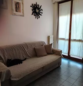 Foto annuncio 12