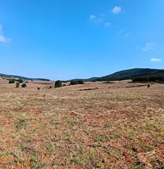Foto annuncio 29