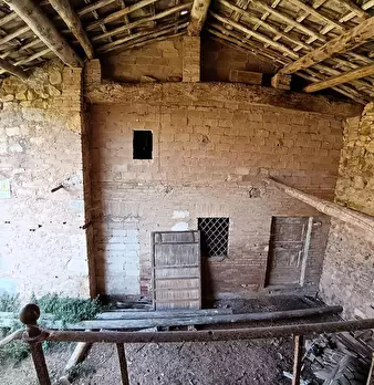 Foto annuncio 23