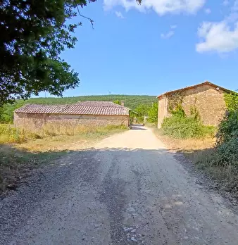 Foto annuncio 5