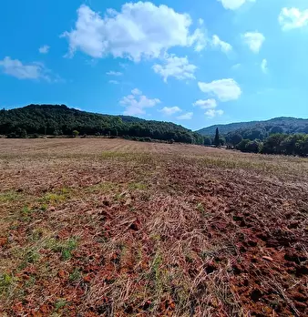 Foto annuncio 28