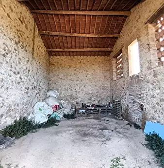 Foto annuncio 26