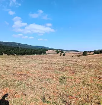 Foto annuncio 30