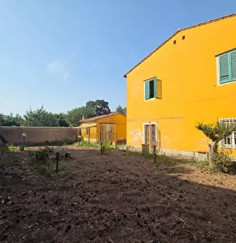 Foto annuncio 14