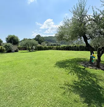 Foto annuncio 41