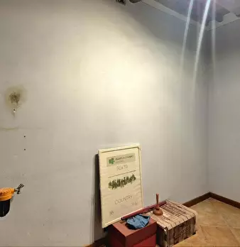 Foto annuncio 12