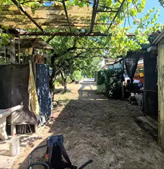 Foto annuncio 26