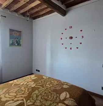 Foto annuncio 9