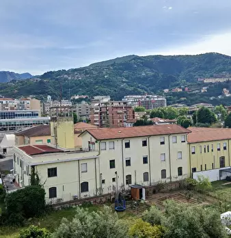 Foto annuncio 13