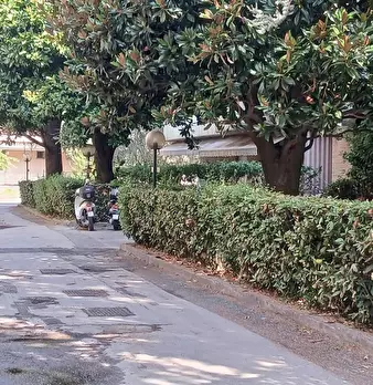 Foto annuncio 19