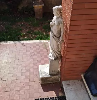 Foto annuncio 9