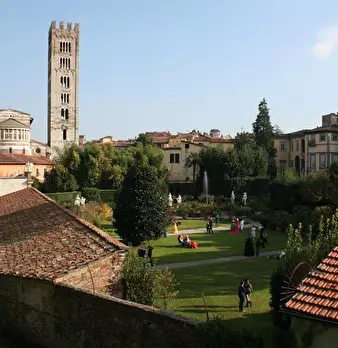 Foto annuncio 9
