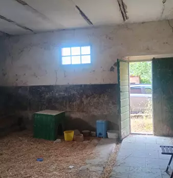 Foto annuncio 24