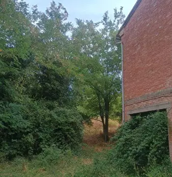 Foto annuncio 7