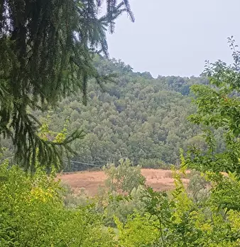 Foto annuncio 6