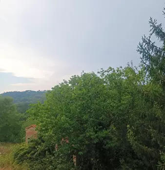 Foto annuncio 11