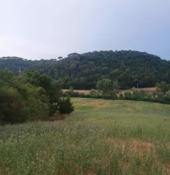 Foto annuncio 9