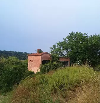 Foto annuncio 4