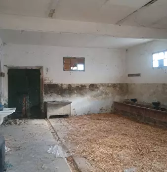 Foto annuncio 25