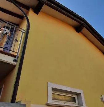 Foto annuncio 6