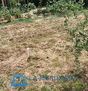 Foto annuncio 4