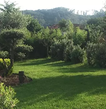 Foto annuncio 43