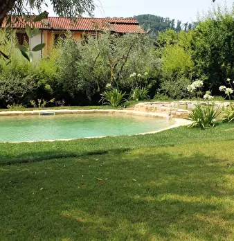 Foto annuncio 4