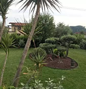 Foto annuncio 42