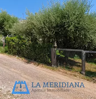 Foto annuncio 17