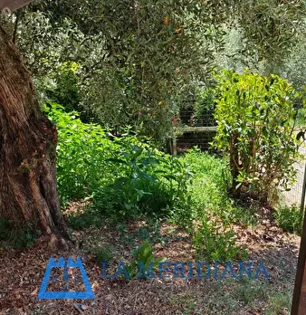 Foto annuncio 18