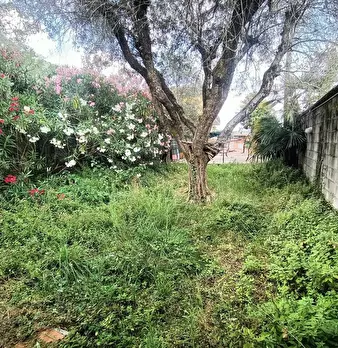 Foto annuncio 10