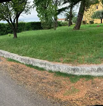 Foto annuncio 9