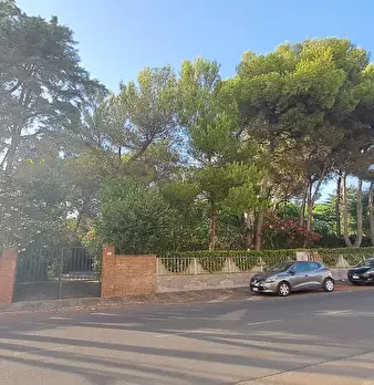 Foto annuncio 19