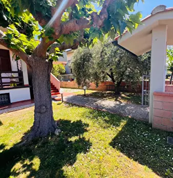 Foto annuncio 36