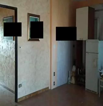 Foto annuncio 7