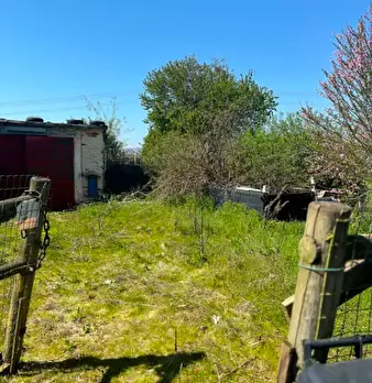Foto annuncio 12