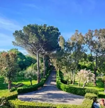 Foto annuncio 9