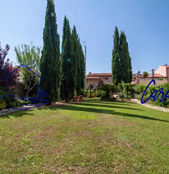 Foto annuncio 53