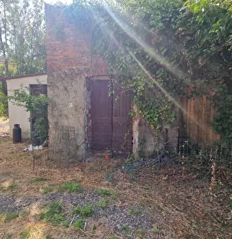 Foto annuncio 21