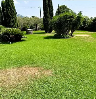 Foto annuncio 7