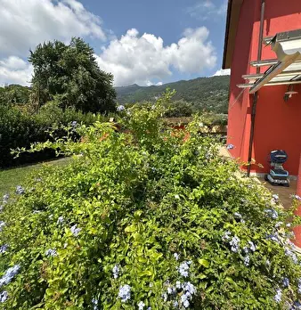 Foto annuncio 10