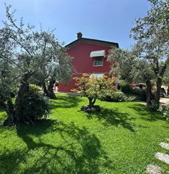 Foto annuncio 54