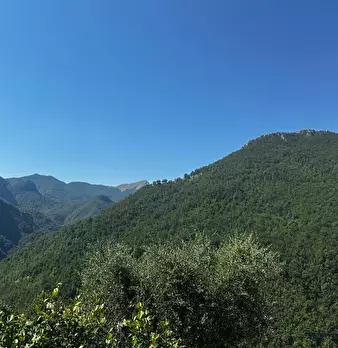 Foto annuncio 19