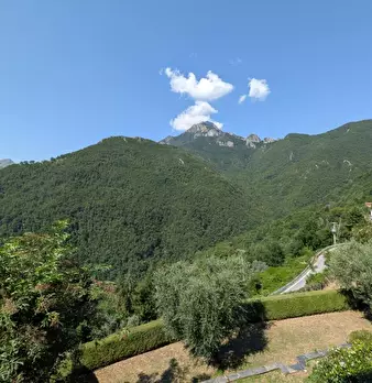 Foto annuncio 17